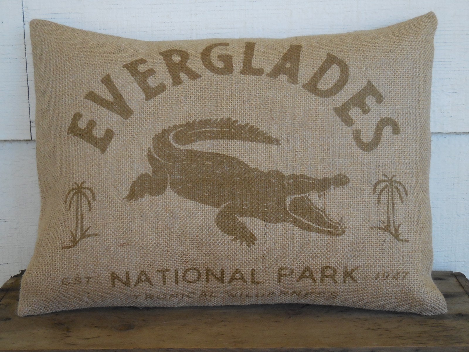 Everglades NP Pillow, Florida Souvenir, Farmhouse Pillows, Travel Gift, NP Decor