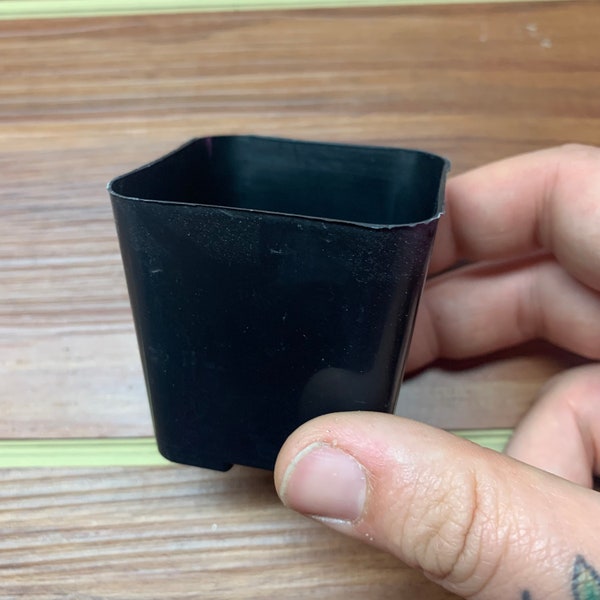 2" Nursery Pot, ADD-ON ONLY, Succulent Planter