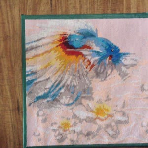 Betta fish Completed Diamond Painting