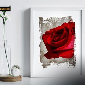 ROOD ROZE PRINT / Flower Shop / Flower print / Digitale Download Art / Olieverf effect / A3 instant download