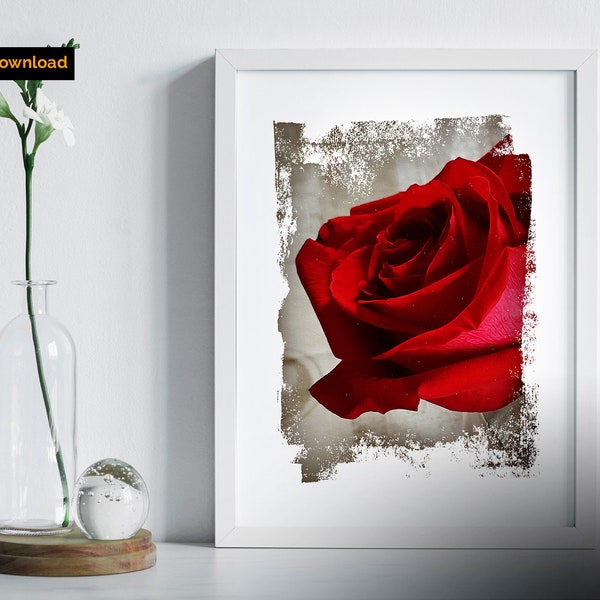 STAMPA ROSA ROSSA / Negozio di Fiori / Flower print / Digital Download Art / Effetto pittura a olio /  Download istantaneo A3