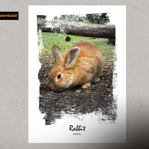 RABBIT PRINT / Rabbit / Tenderness / Regalo para el dormitorio de los niños / Animal Print / Poster Home / A3 print