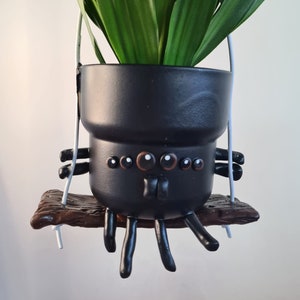Spinoli the spider hanging planter cute character on swing for indoor or outdoor plants 9cm 12cm