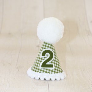 Grüner Gingham Party Hut