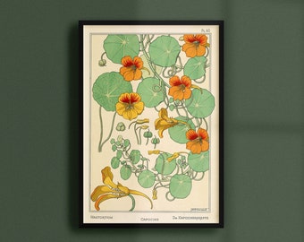 Vintage Nasturtium Print | Printable Antique Botany Art | Downloadable Digital Poster | Flora Illustration