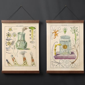 Antieke Science Chart Gallery Wall Set van 2 Vintage afdrukbare donkere Academia Wall Art Instant Download digitale prints voor humeurig decor