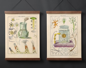 Antique Science Chart Gallery Wall Set of 2 Vintage Printable Dark Academia Wall Art Instant Download Digital Prints for Moody Decor