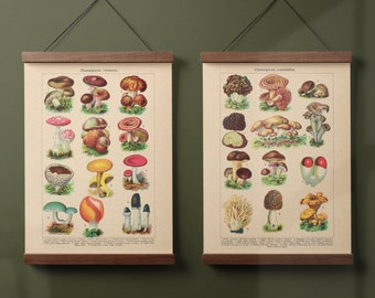 Vintage French Mushroom Prints Set of 2 Printable Gallery Wall Art | Edible and Poisonous Mushroom Charts Downloadable Digital Art