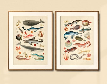 Sea Creatures Wall Art Set of 2 Vintage Printable Posters Instant Download Girl’s Room & Boy’s Room Art Nursery Wall Decor Gallery Wall Set