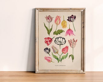 Vintage Tulip Wall Art Instant Download Flower Poster Printable Floral Wall Art Downloadable Springtime and Easter Wall Decor Artwork