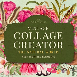 May include: Vintage Collage Creator: The Natural World, a green banner with white text, surrounded by illustrations of flowers, butterflies, a bird, a caterpillar, and a rabbit. The banner includes the text "Vintage Collage Creator" and "The Natural World".
