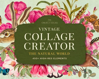 May include: Vintage Collage Creator: The Natural World, a green banner with white text, surrounded by illustrations of flowers, butterflies, a bird, a caterpillar, and a rabbit. The banner includes the text "Vintage Collage Creator" and "The Natural World".