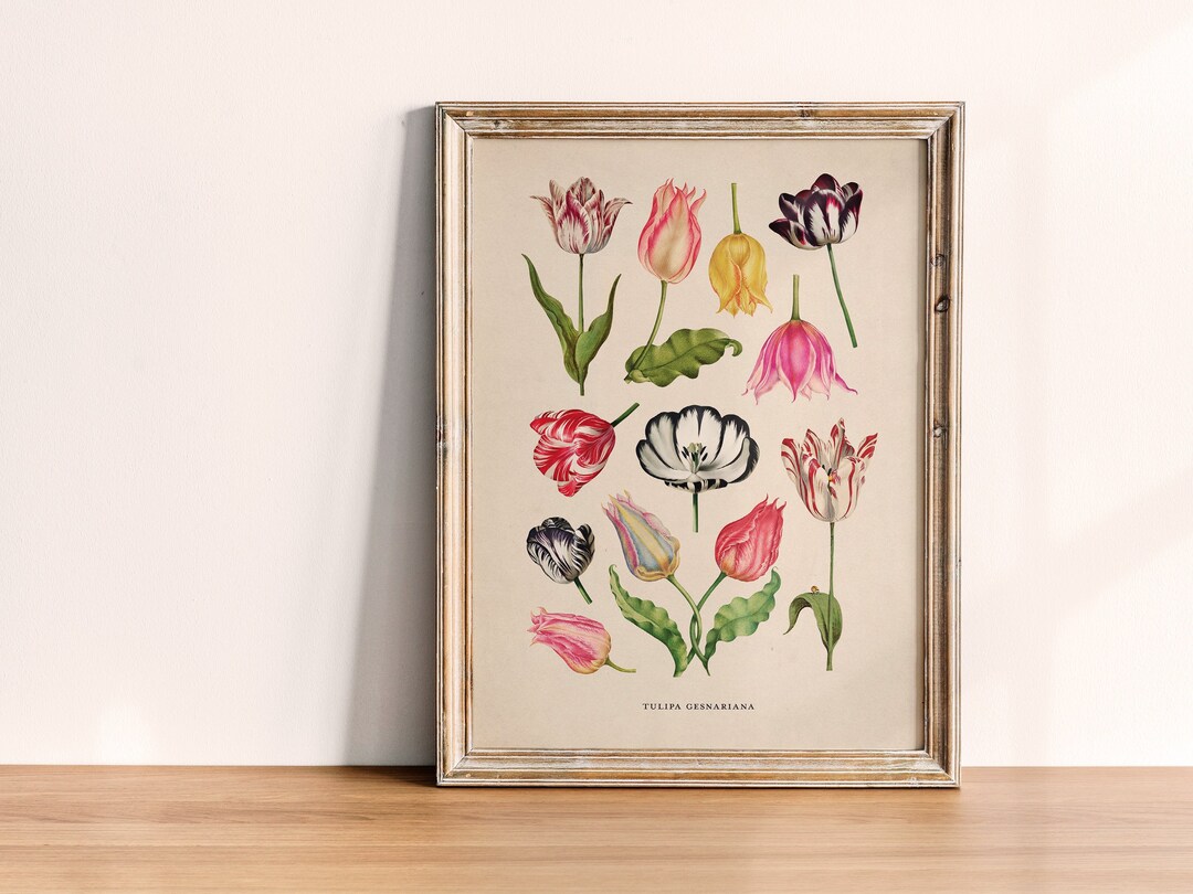 Vintage Tulip Wall Art Instant Download Flower Poster Printable Floral ...