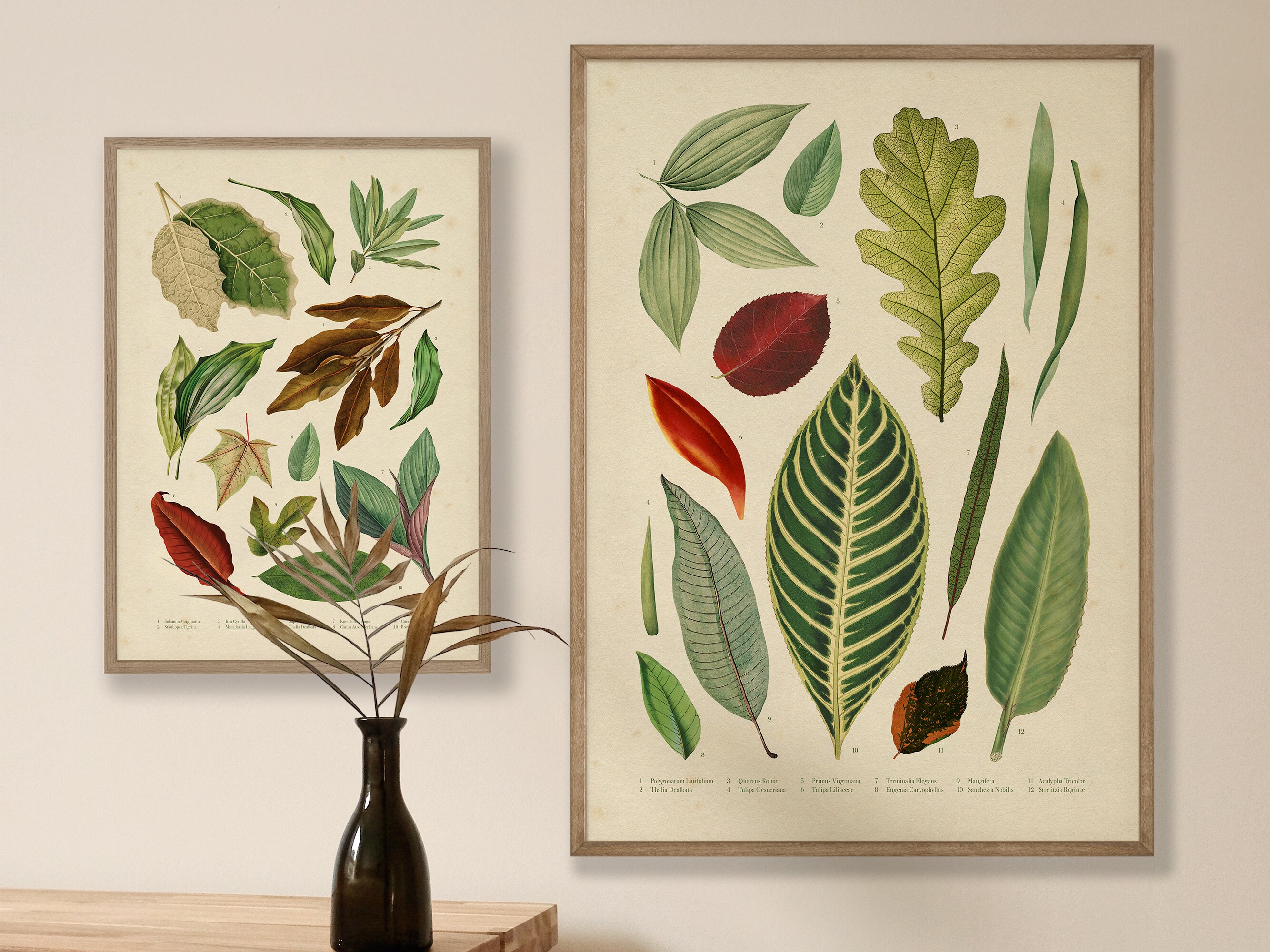 Instant Download Vintage Gallery Wall Set Botanical Art Prints Set of 3 ...