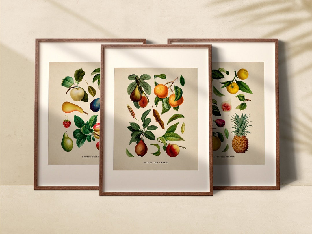 Vintage Fruit Posters Set of 3 Printable Gallery Wall Art - Etsy