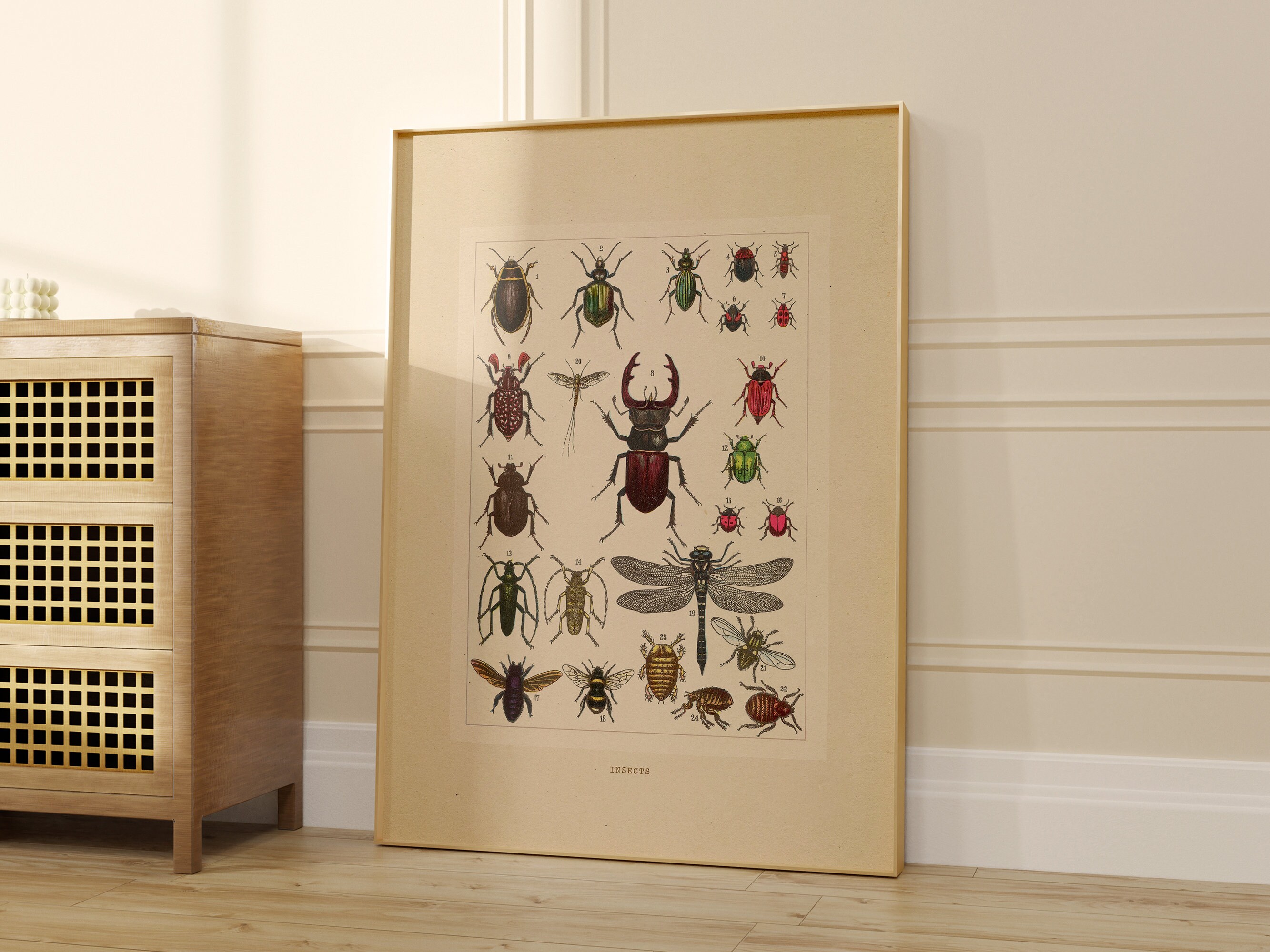 Vintage Insect Specimens Poster Printable Wall Art Nature Poster Print ...