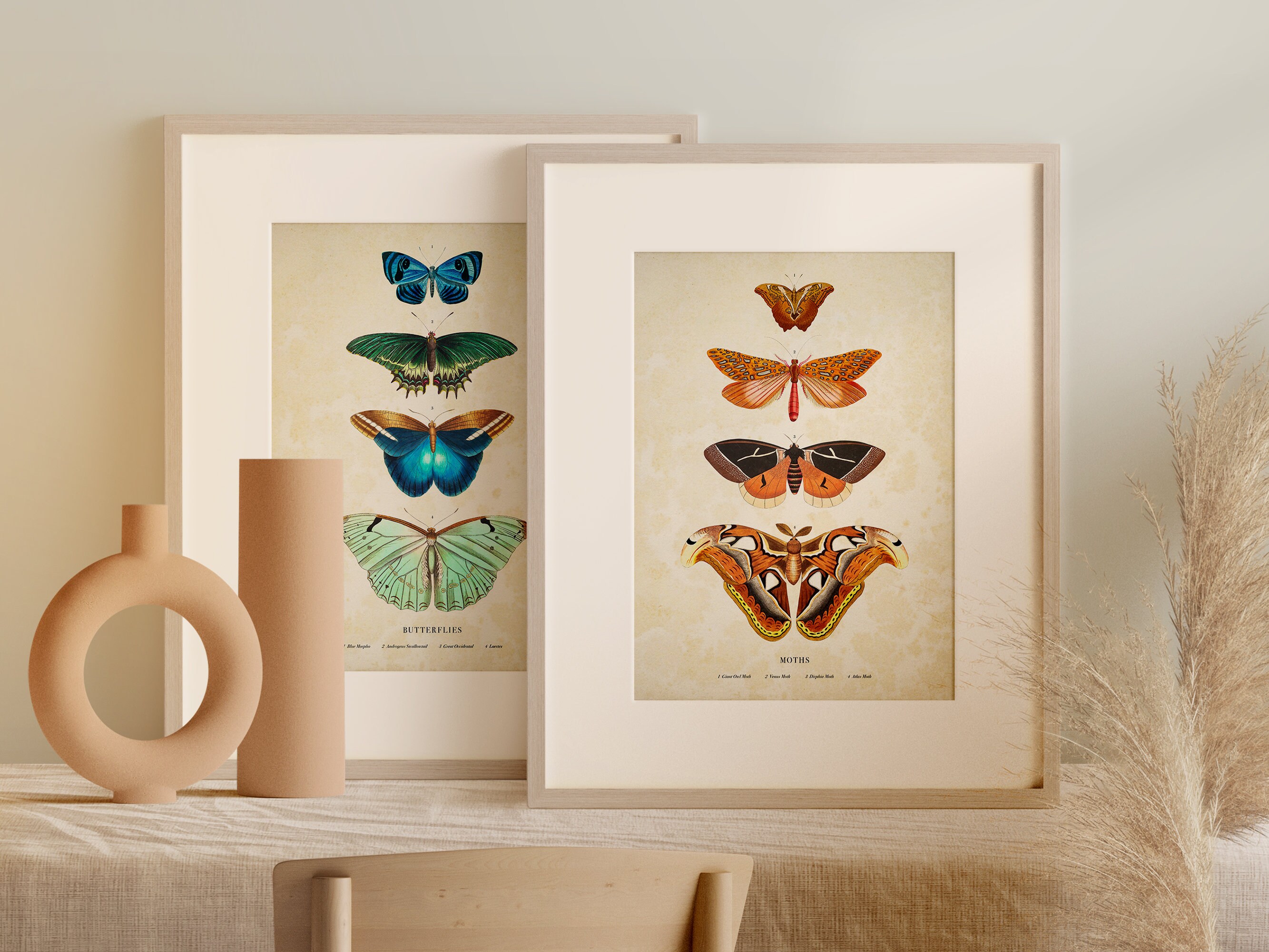 Antique Butterfly and Moth Prints | Set of 2 | Vintage Printable Wall ...