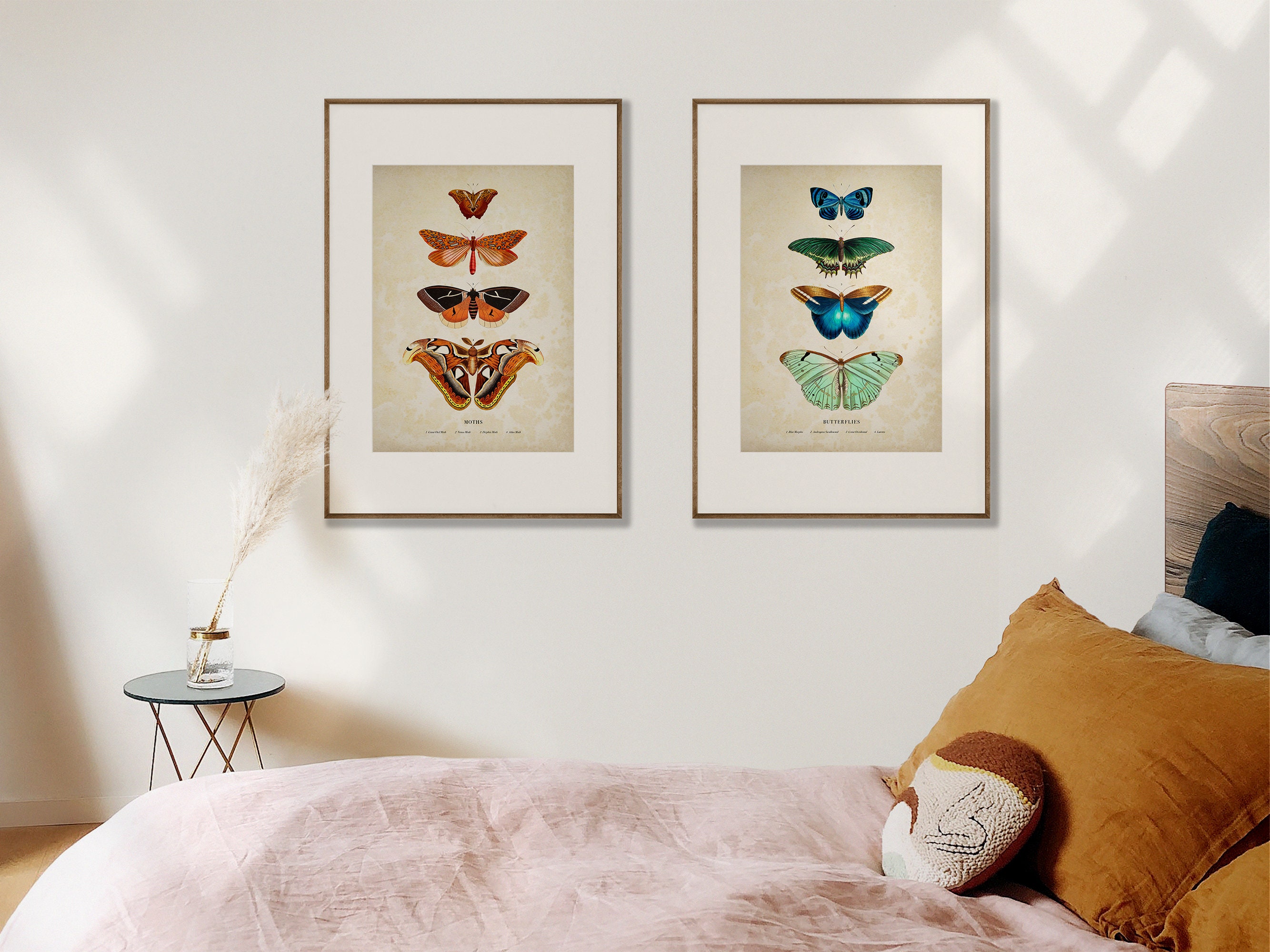 Antique Butterfly and Moth Prints | Set of 2 | Vintage Printable Wall ...