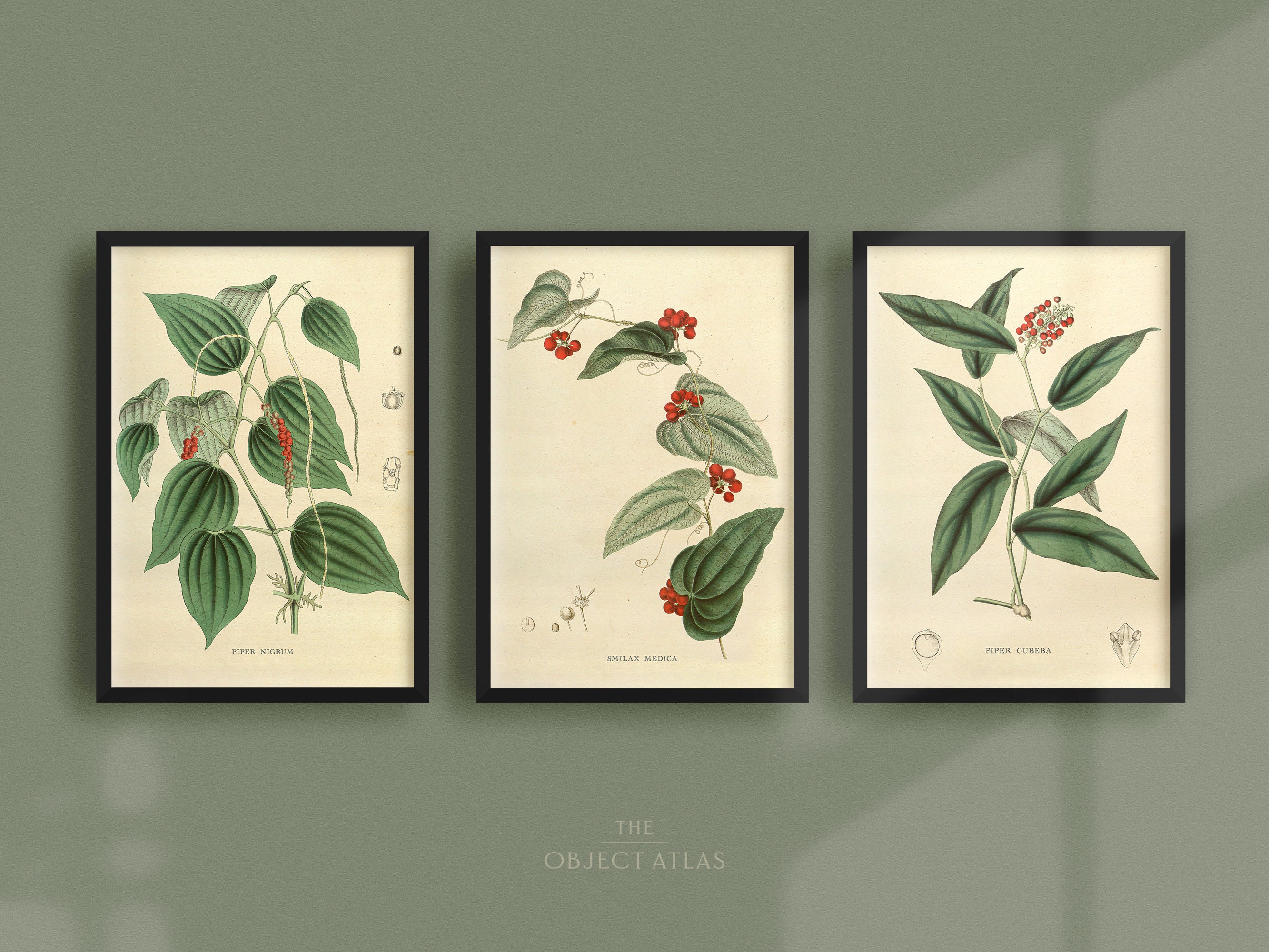 Vintage Set of 3 Botanical Prints | Printable Antique Gallery Wall ...