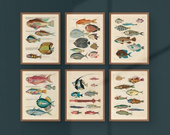 Tropical Fish Gallery Wall Set of 6 Vintage Printable Posters Instant Download Dark Academia and Tropical Wall Decor Antique Gallery Wall