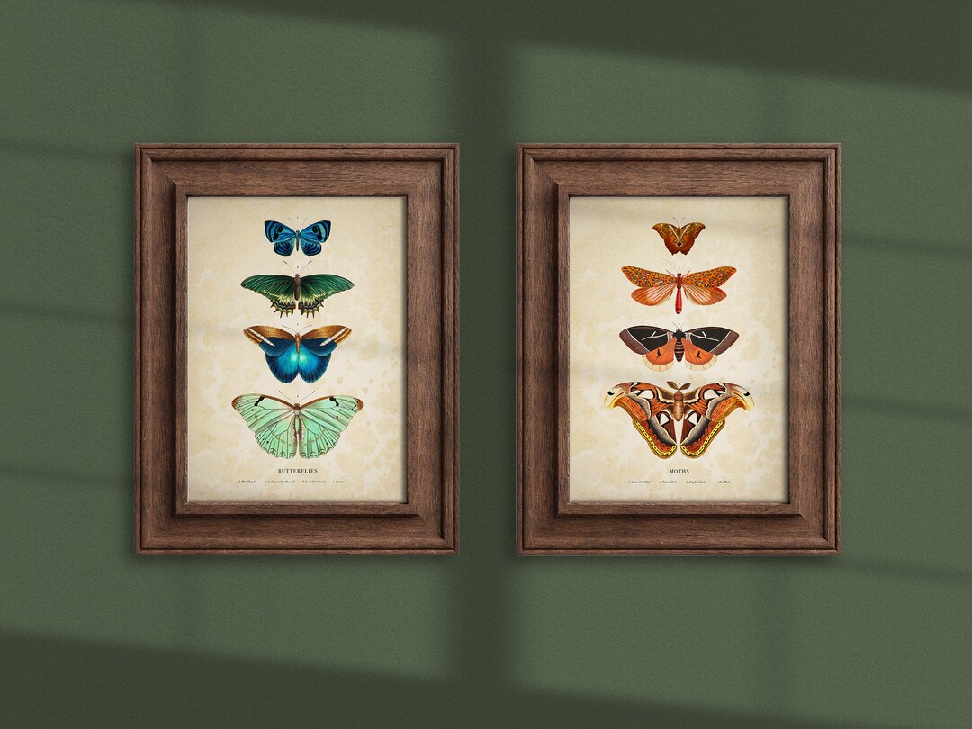 Antique Butterfly and Moth Prints Set of 2 Vintage Printable Wall Art