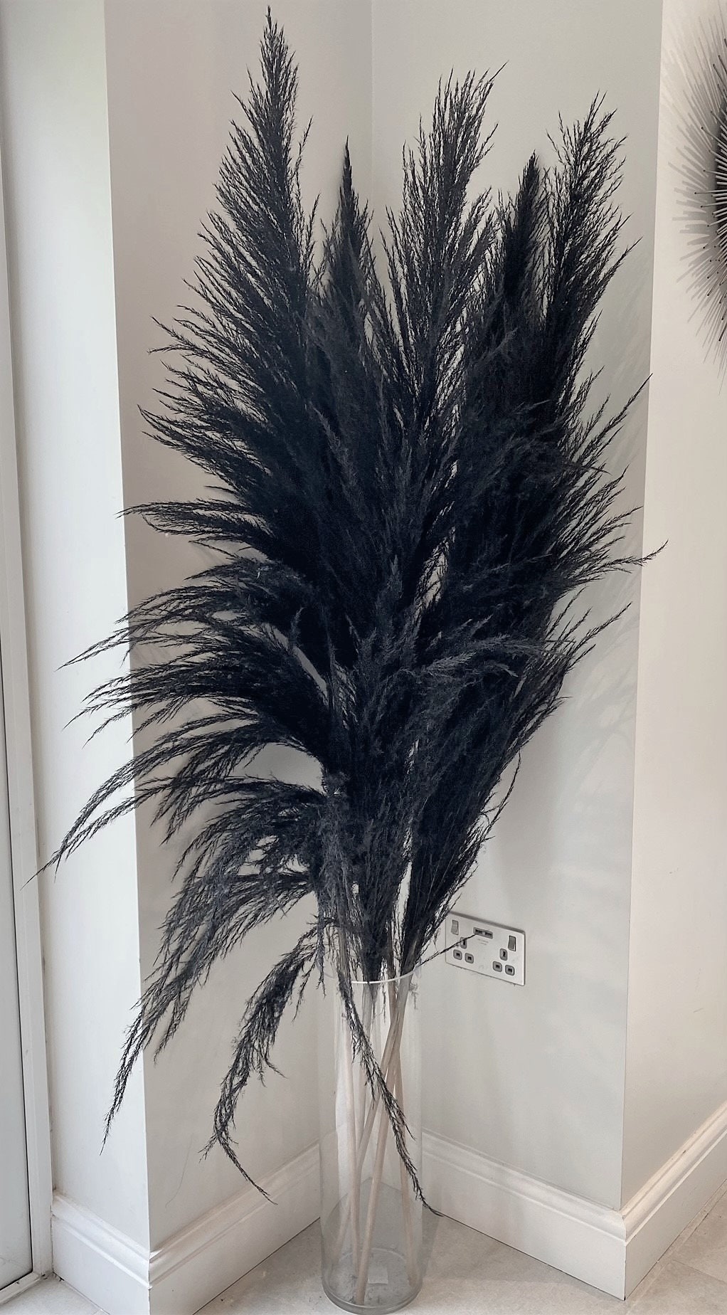 Black Pampas Fluffy Black PampasTall Black Pampas Pampas Etsy