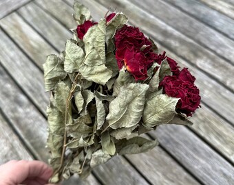 Dried red miniature roses 10 stems 22cm