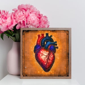 Anatomisch hart clipart, mystieke hart energie clipart bundel - subtiele helende kunst voor plakboek, kunst aan de muur, papier ambachten, png- en jpeg-bestanden