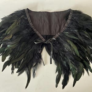 Beautiful Black Feather Cape