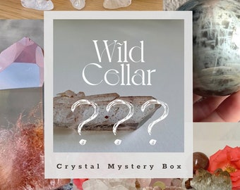 Crystal Mystery Box // Mystery Box // Crystal Set // Rocks and Minerals // Gift Box // INSANE VALUE!!!