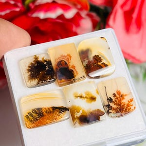 Natural Dendrite & Scenic Agate Gemstone 6 Pcs Lot, Flat Back Cabochon Size: 11-14 MM