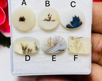 Op de afbeelding: Zes gepolijste dendriet-agaat cabochons in een witte displaydoos, gelabeld van A tot F. Elke steen heeft een unieke, boomachtige donkere insluiting in een doorschijnende, gebroken witte basis, met ronde, ovale en rechthoekige vormen.