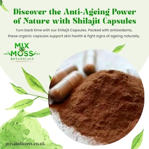 Shilajit Pulver-Kapseln