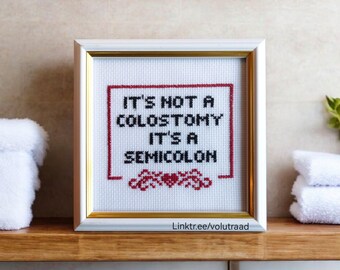 Bordado divertido de colostomía