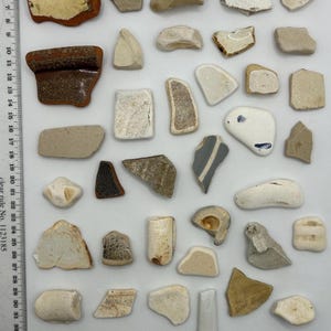 May include: A selection of pottery shards in beige, brown, and white. The fragments are of different shapes and sizes, some with painted patterns or textured surfaces. A ruler is positioned on the left side for scale, with measurements in inches.