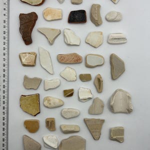 May include: A selection of pottery shards in various sizes and shapes, featuring colours like white, beige, brown, and tan. Some pieces show glaze and texture. A ruler is positioned beside the pottery fragments.