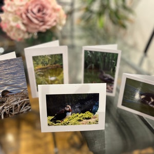 Set of 5 beautiful clear photo greeting cards lovely glossy finish blank inside