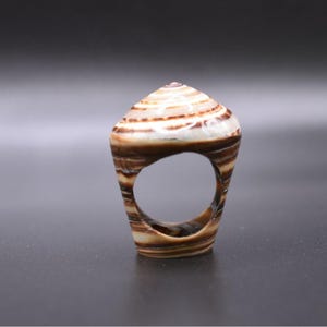 May include: A seashell ring with a natural striped pattern in brown and cream. The ring has a large, open centre and a conical top, showcasing the unique texture and design of the shell. The ring is a unique piece of jewellery.