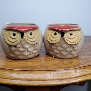 Puede incluir: Dos macetas de cerámica con forma de búho. Las macetas son de color beige con bordes rojos y caras de búho detalladas. Los ojos del búho son negros y la cara es de color beige claro. Las macetas están sobre una superficie de madera.