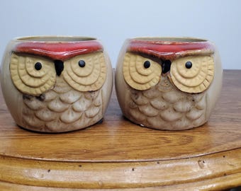 VTG Ceramic Owl Planter Pair Rustic Glazed Succulent Pots Pier 1 Imports Style Boho Decor Fall Cottagecore Kitshy Woodland Animal Pot