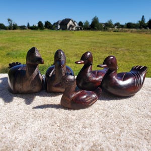 Set of 5 Hand Carved Wooden Ducks Figurines Rustic Waterfowl Decor Farmhouse Cabin Style Vintage Handcrafted Bird Carving Collection