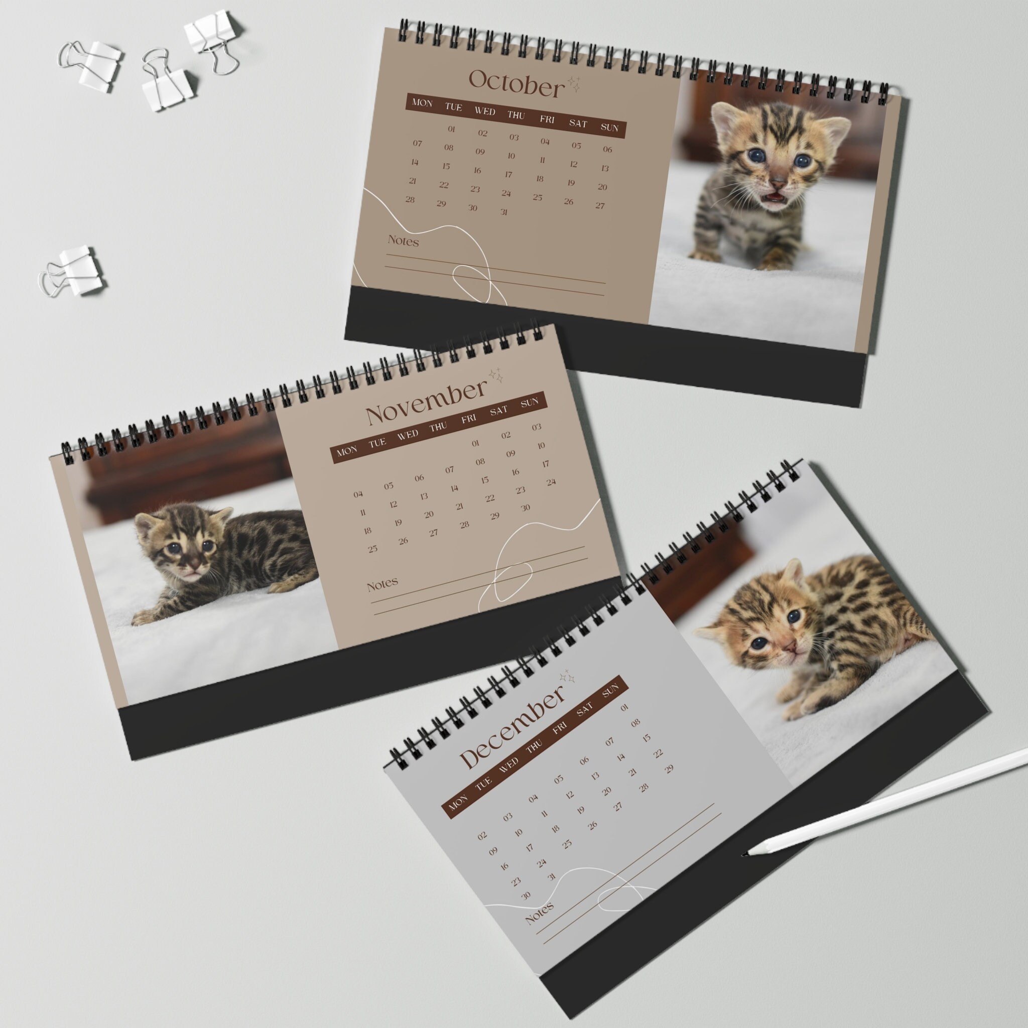 Discover 2024 Bengal Kitten Desk Calendar