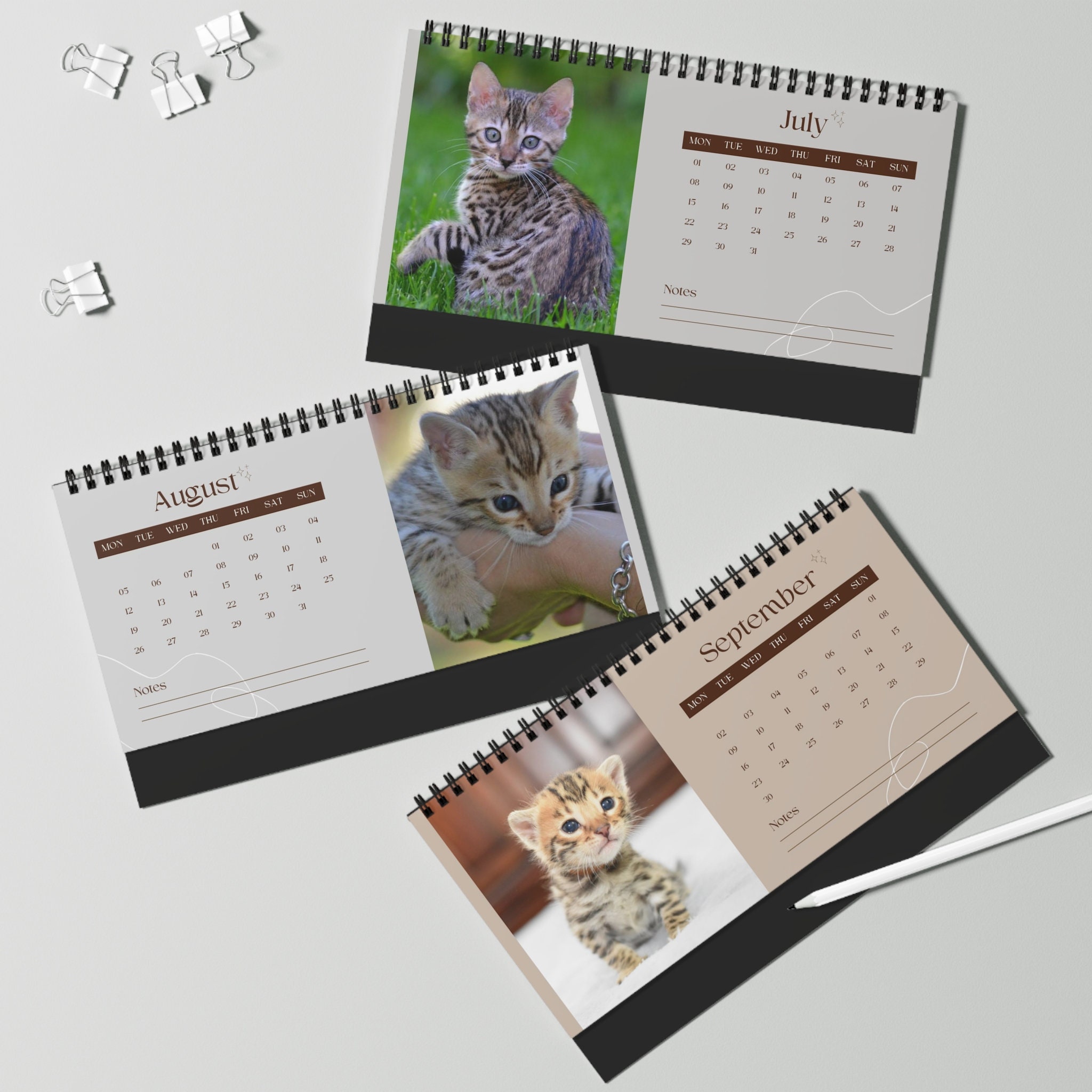 Discover 2024 Bengal Kitten Desk Calendar