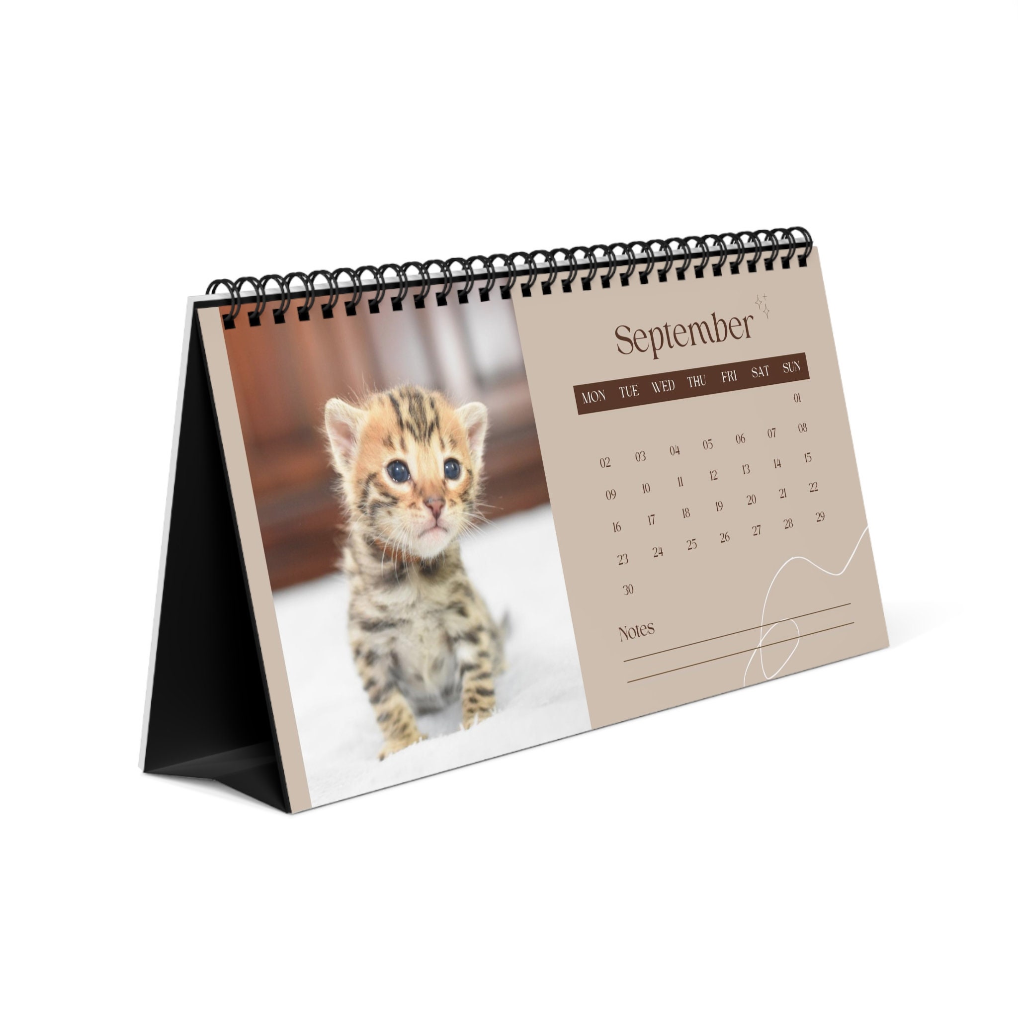 Discover 2024 Bengal Kitten Desk Calendar