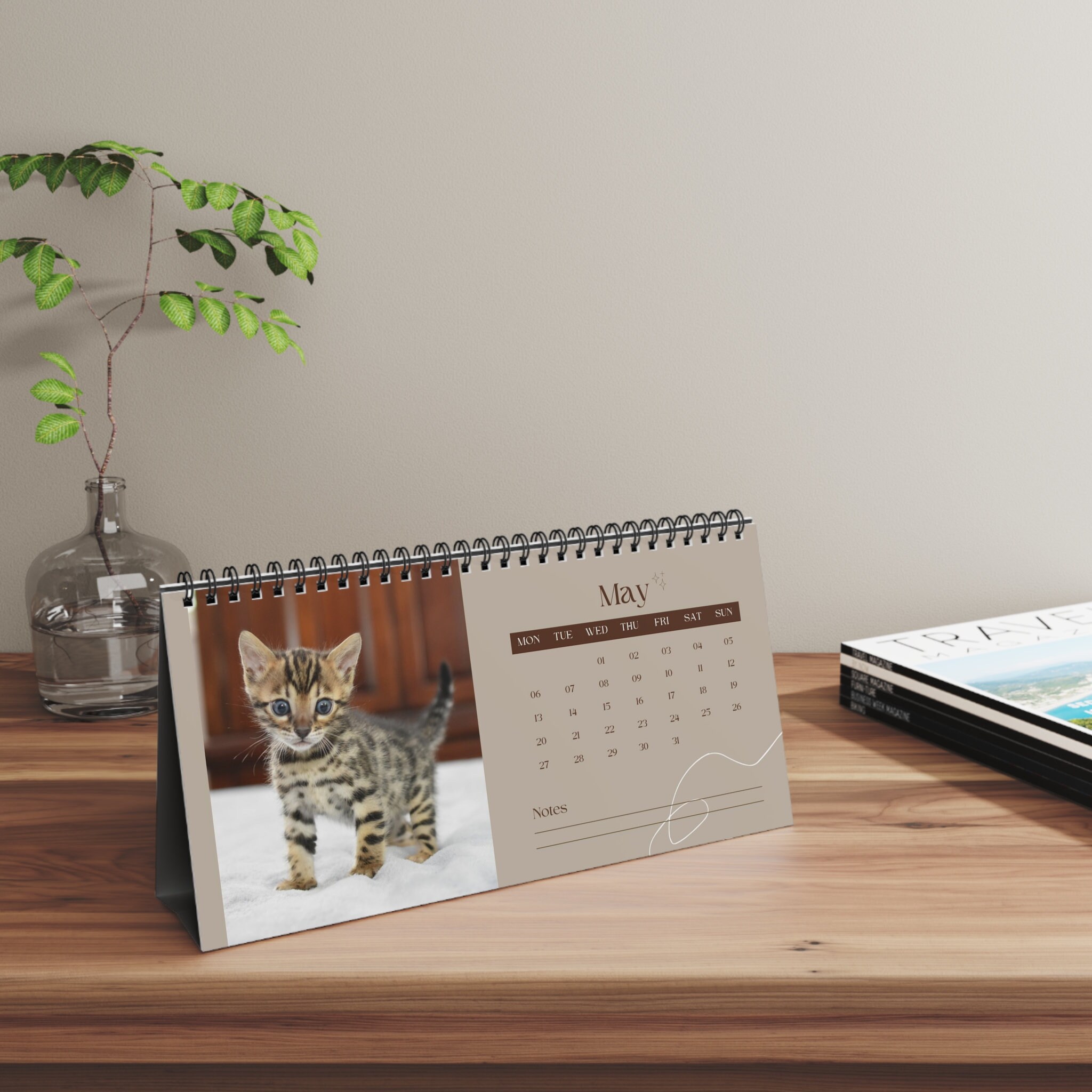 Discover 2024 Bengal Kitten Desk Calendar