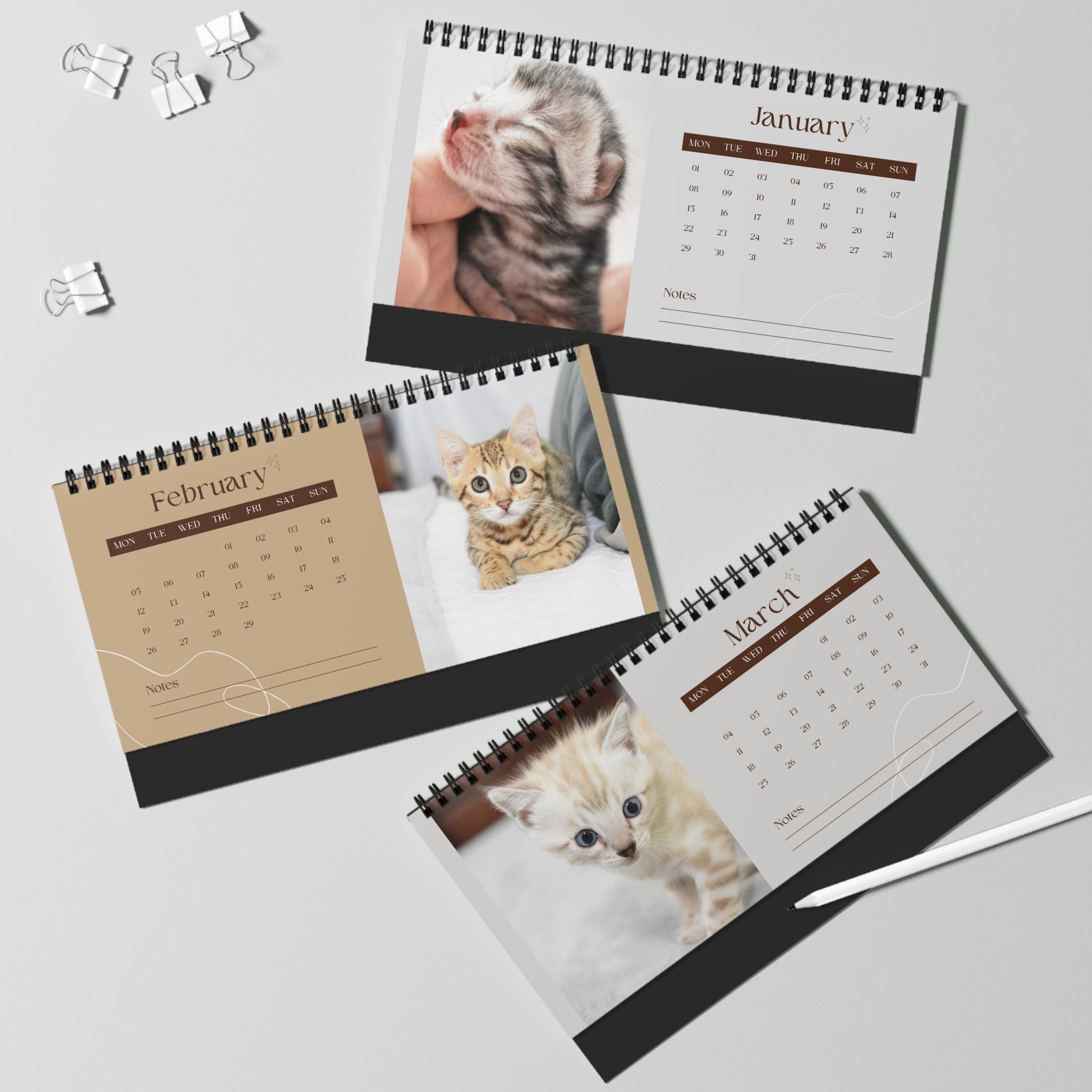 Discover 2024 Bengal Kitten Desk Calendar