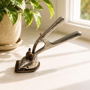 May include: An old-fashioned, manual hair clipper made of tarnished metal. The clipper features a lever-style handle and a toothed blade. The image is set against a neutral background with a potted plant in the background.