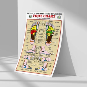 Foot Reflexology Chart by Institute of Reflexology, Gift Poster, Home Living Decor, Unique Gifts, Home Decor Poster