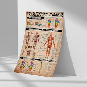 May include: A poster titled "MASSAGE THERAPIST KNOWLEDGE" with detailed anatomical charts. It includes sections on foot reflexology, the muscular system, emotional pain, hand reflexology, and the vertebral column. The poster has a vintage, aged paper appearance.