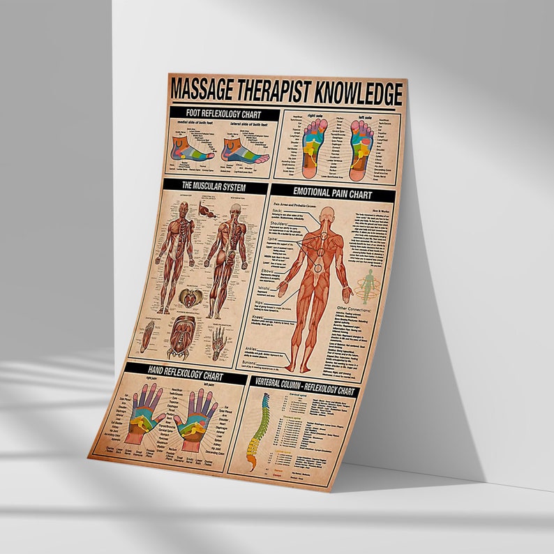 Massage Therapist Knowledge Poster Home Decor Etsy